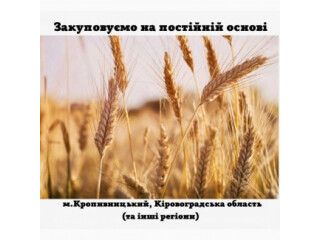 Закупка зернових для власного виробництва, Кировоградская обл